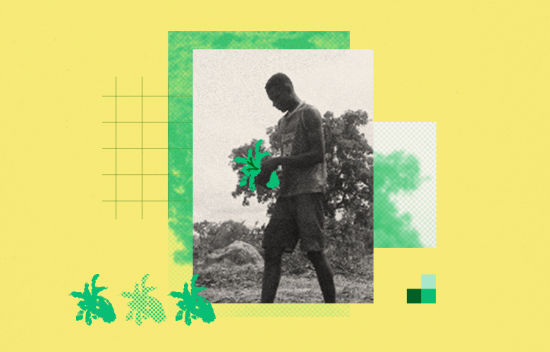 A photo from Senegal representing A High School Student Turns His Village Green