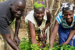 Youth participants in PAJE-Nièta